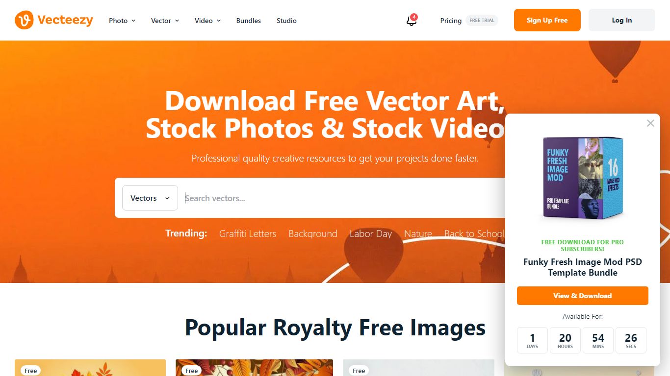 Wood Background Vector Art, Icons, and Graphics for Free Download